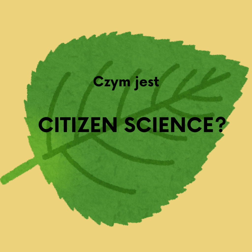 czym jest