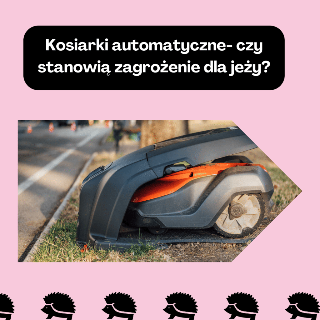 kosiarki automatyczne czy stanowią zagrożenie dla jeży (1)